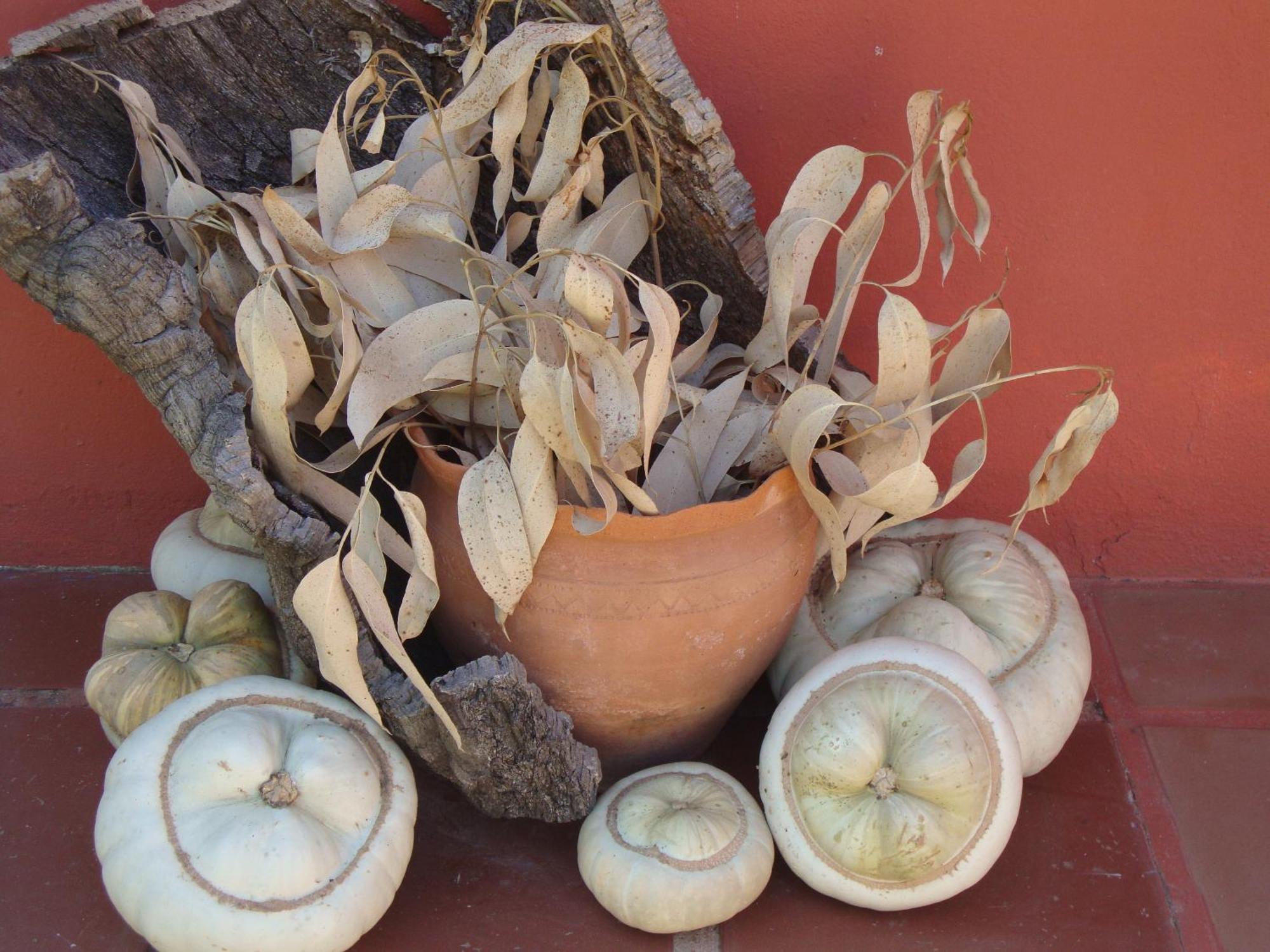 Verdemar Cercal do Alentejo Kültér fotó