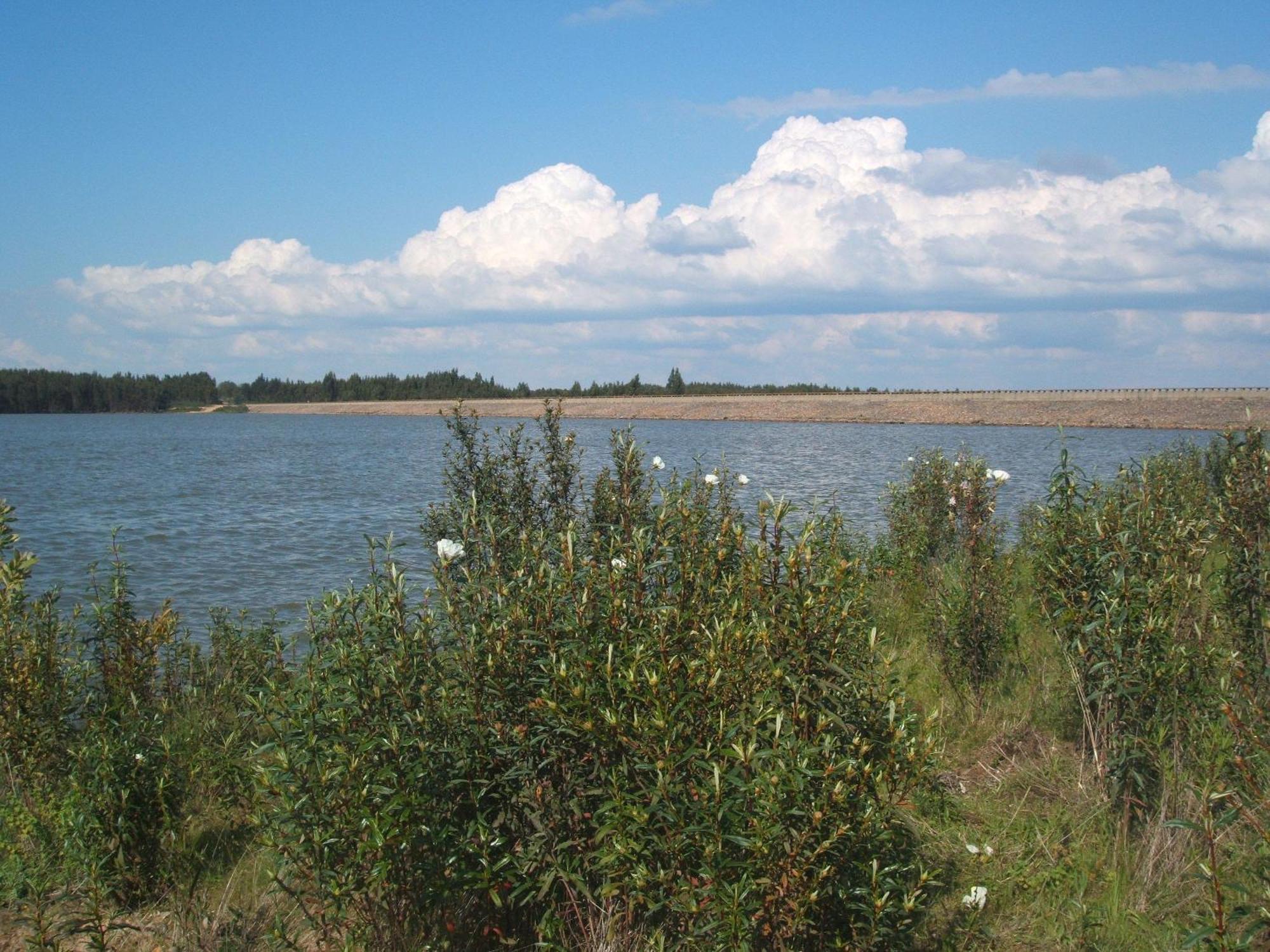 Verdemar Cercal do Alentejo Kültér fotó